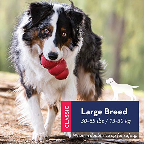 Durable KONG Toy for Large Dogs