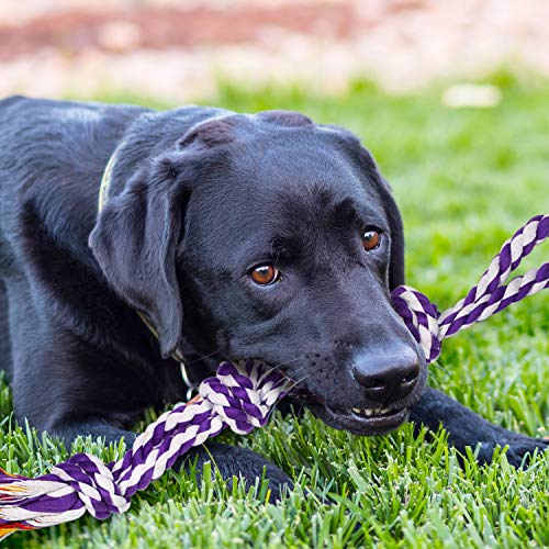 9-Piece Indestructible Dog Toy Set for Large Breeds
