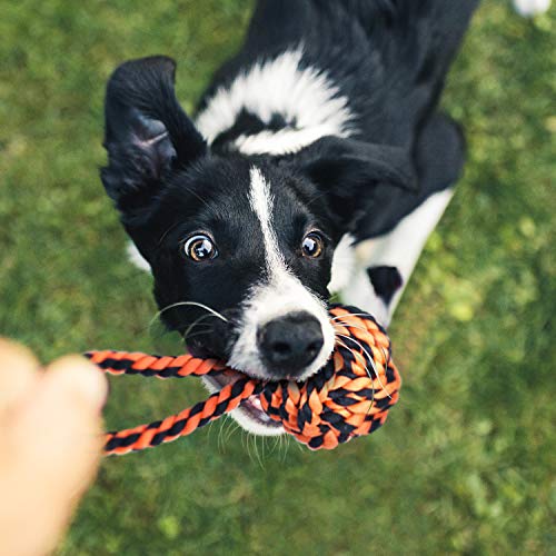 9-Piece Indestructible Dog Toy Set for Large Breeds