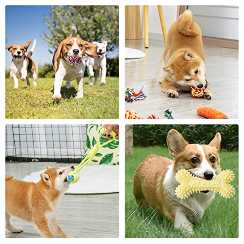 20 Indestructible Dog Chew Toys for Puppies