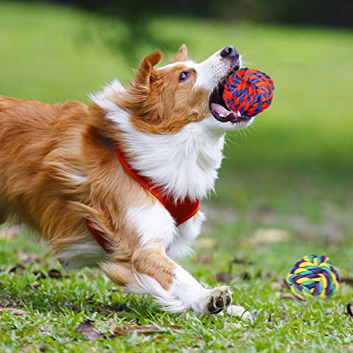 9-Piece Indestructible Dog Toy Set for Large Breeds