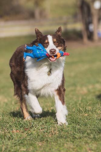 Latex Polka Dot Globken Chicken Dog Toy