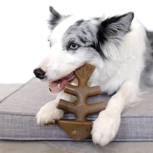 USA Made Benebone Chew Toys for Medium Dogs