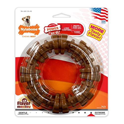 X-Large Nylabone Dog Chew Toy with Flavor Medley