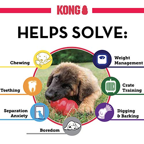 Durable KONG Toy for Large Dogs