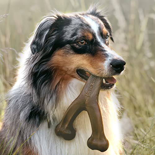 USA Made Benebone Chew Toys for Medium Dogs