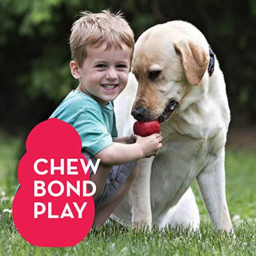 Durable KONG Toy for Large Dogs