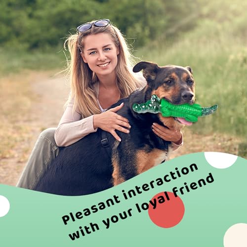 Indestructible Dog Chew Toys for Large Breeds