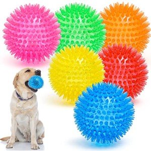 Squeaky Dog Toy Balls in 6 Colors
