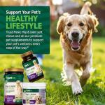 Petnc Hip and Joint Soft Chews, 90ct