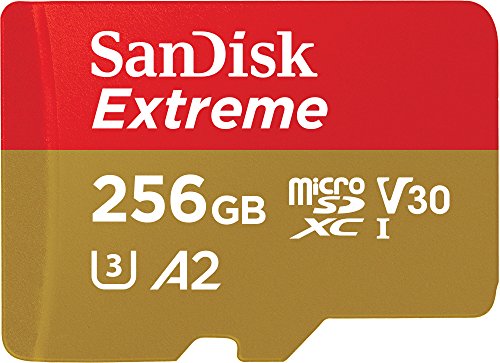 SanDisk 256GB Extreme microSDXC + SD Adapter
