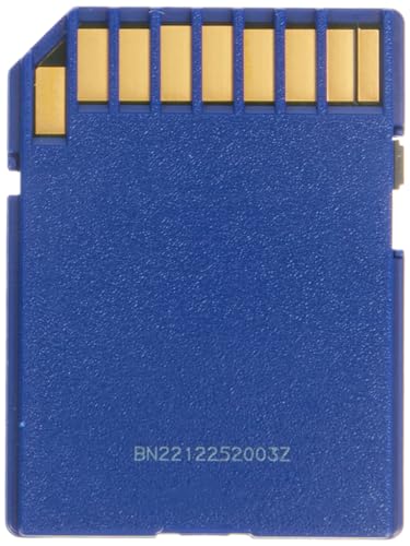 SanDisk 64GB SDXC Class 4 Memory Card - Blue