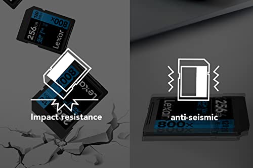 Lexar 800x SD Card 64GB, Class 10