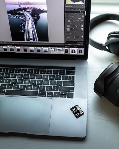 Lexar Professional 1667x 128GB SDXC UHS-II Card