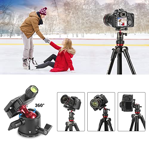360° Panoramic Mini Ball Head with Arca-Type QR Plate