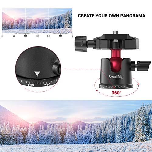 360° Panoramic Mini Ball Head with Arca-Type QR Plate