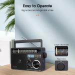 TR618 Portable Shortwave Radio AM FM Radio Plug in Wall,SD/USB For Senior Gift