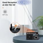TR618 Portable Shortwave Radio AM FM Radio Plug in Wall,SD/USB For Senior Gift