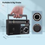 TR618 Portable Shortwave Radio AM FM Radio Plug in Wall,SD/USB For Senior Gift