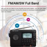 V115P Portable Radio,AM FM SW WB Radio,Digital Stereo Radio With Bluetooth Gift