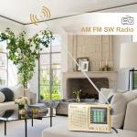 Portable Radio AM FM, Transistor Radio, Plug in Wall or Battery Operated Radio