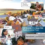 T1 FRS Walkie Talkie Set for Adults, Long Range Two-Way Radio, with Earpiece Fam