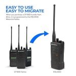 2 x Motorola CP100D Analog UHF Portable Non-Display Two Way Radio, 16 Channel, 4 Watt (403-480MHz) - 2 Pack Bundle