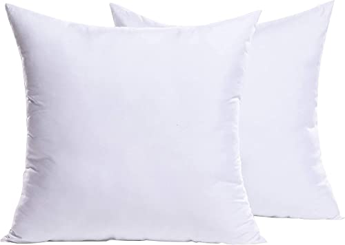 MIULEE White Cushion Insert 2-Pack 18x18 Square