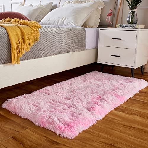 Pink Furry Area Rug for Dorm or Bedroom