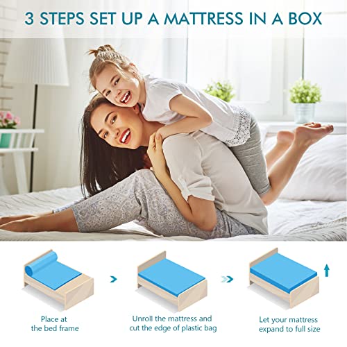10.63 Inch Hybrid Double Mattress with Zoned Support