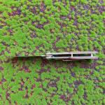 High hardness stainless steel camping outdoor tactical pocket folding knife