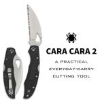 Spyderco Byrd Cara Cara 2 Wharncliffe Knife