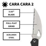 Spyderco Byrd Cara Cara 2 Wharncliffe Knife