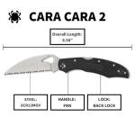 Spyderco Byrd Cara Cara 2 Wharncliffe Knife