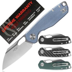 Firebird Ganzo FH924-GY Wharncliffe Folding Knife