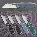 Firebird Ganzo FH924-GY Wharncliffe Folding Knife