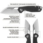 Firebird GANZO FH924-BK Folding Knife D2 Steel