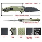 Firebird GANZO FH31B-GR Wharncliffe Folding Knife
