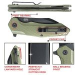 Firebird GANZO FH31B-GR Wharncliffe Folding Knife