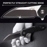 Firebird GANZO FH31 Wharncliffe Folding Knife Black