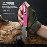 CJRB Pyrite-Alt Folding Wharncliffe Pocket Knife