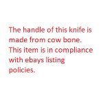 Queen Barlow Wharncliffe Folding Knife with Bone Handle