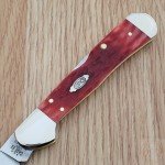 Case XX Peach Seed Folding Knife - Jigged Bone Handle