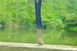 SHIELDON Pluvia 3.07" Wharncliffe Folding Knife