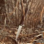 Carimee EDC Wharncliffe Pocket Knife with Rosewood Handle