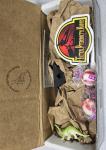 Tactical Pterodactyl Knives TPK Midsize Raptor Magnacut Black G10/sheath