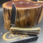 Case XX  Vintage Bone Sodbuster Jr With Pvd Blade