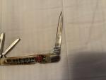 Vintage Mint Steel Warrior Whittler Knife Bone Handles SS Blades Wharncliffe