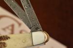 CASE XX USA SEAHORSE WHITTLER KNIFE DAMASCUS VINTAGE BONE 2023 CARBON (26222)