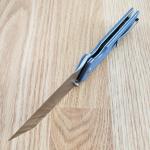 CIVIVI Amirite Pocket Knife, Folding Knife with 3.48" Nitro-V Modified Wharncliffe Blade G-10 Handle, Button Lock Knife For Men Gift C23028-1